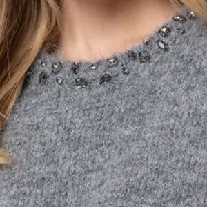 Cyrus Gray Sweater with Embellished Neckline